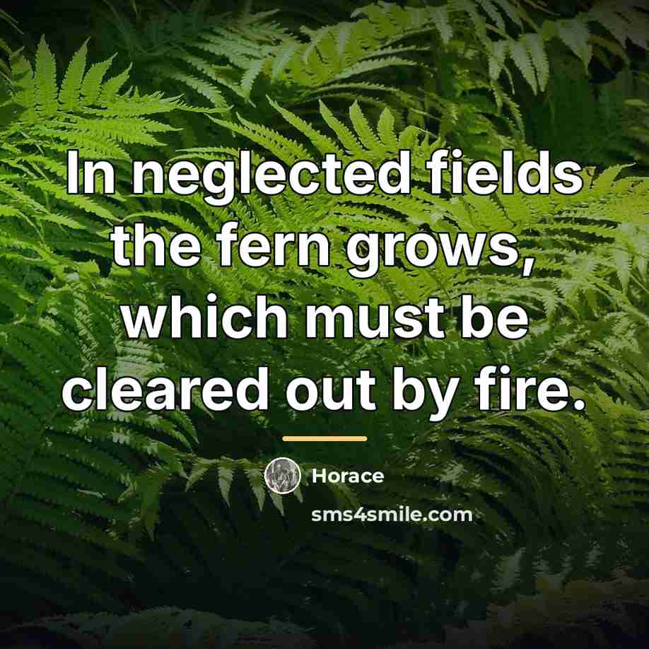 “In neglected fields the fern grows, which must be cleared…” quote by Horace