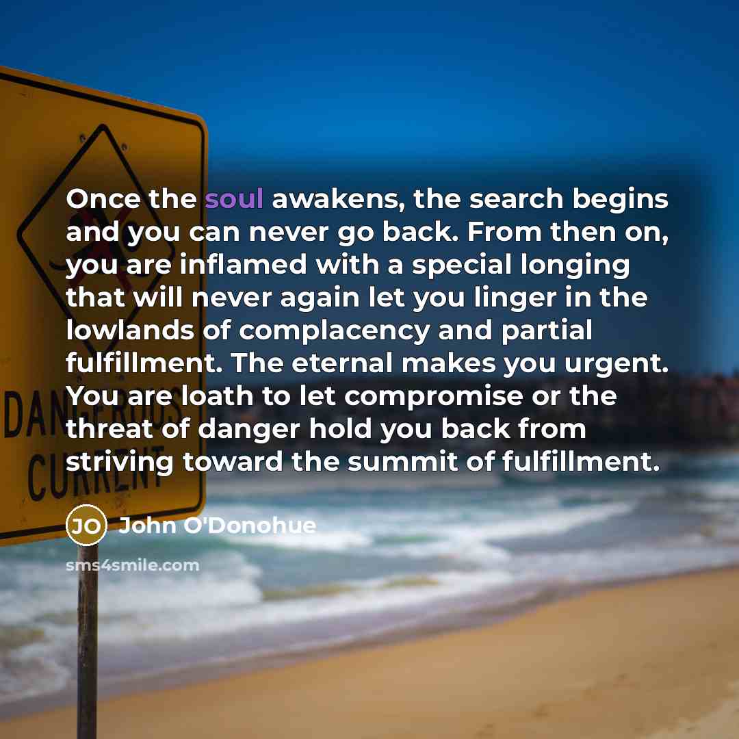 “Once the soul awakens, the search begins and you can…” quote by John O'Donohue