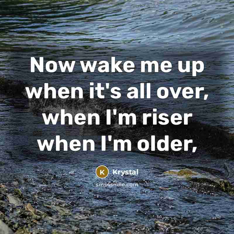 “Now wake me up when it's all over, when I'm…” quote by Krystal