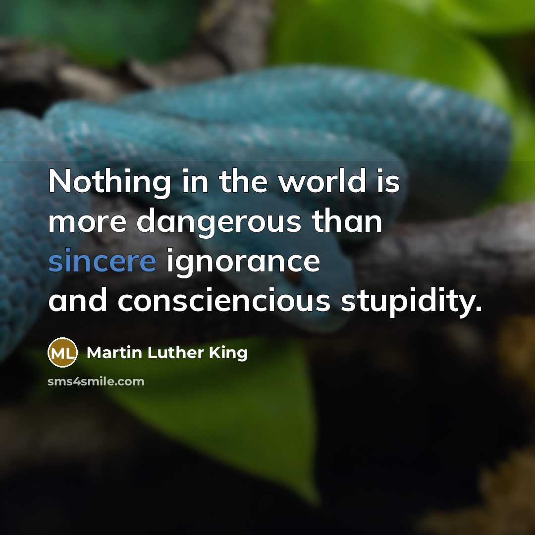 “Nothing in the world is more dangerous than sincere ignorance…” quote by Martin Luther King