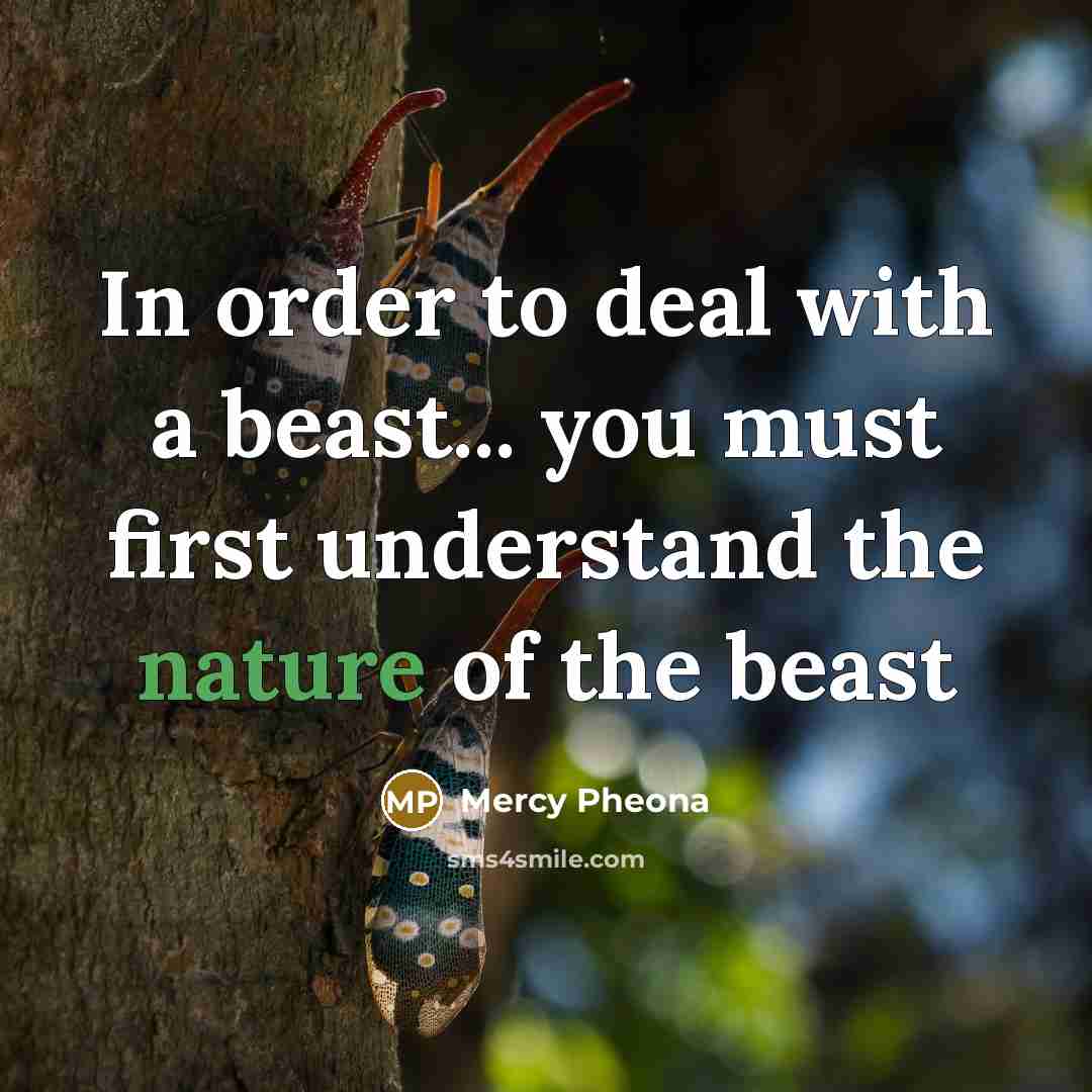 “In order to deal with a beast... you must first…” quote by Mercy Pheona