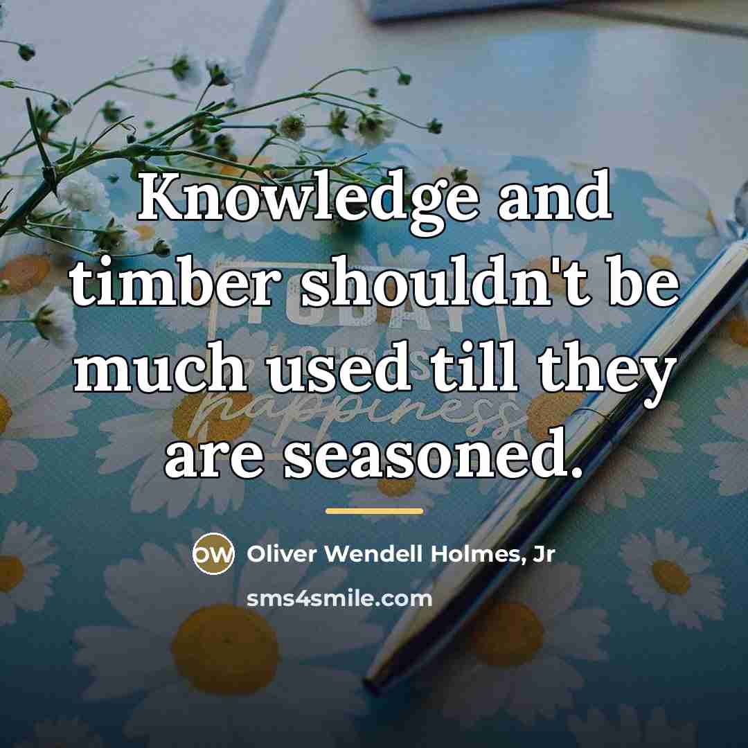 “Knowledge and timber shouldn't be much used till they are…” quote by Oliver Wendell Holmes, Jr