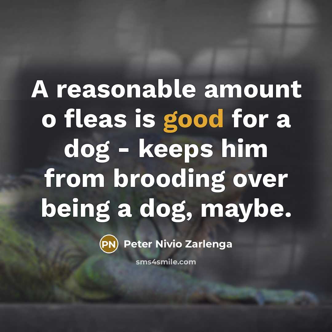 “A reasonable amount o fleas is good for a dog - keeps him from brooding over being a dog, maybe.” quote by Peter Nivio Zarlenga