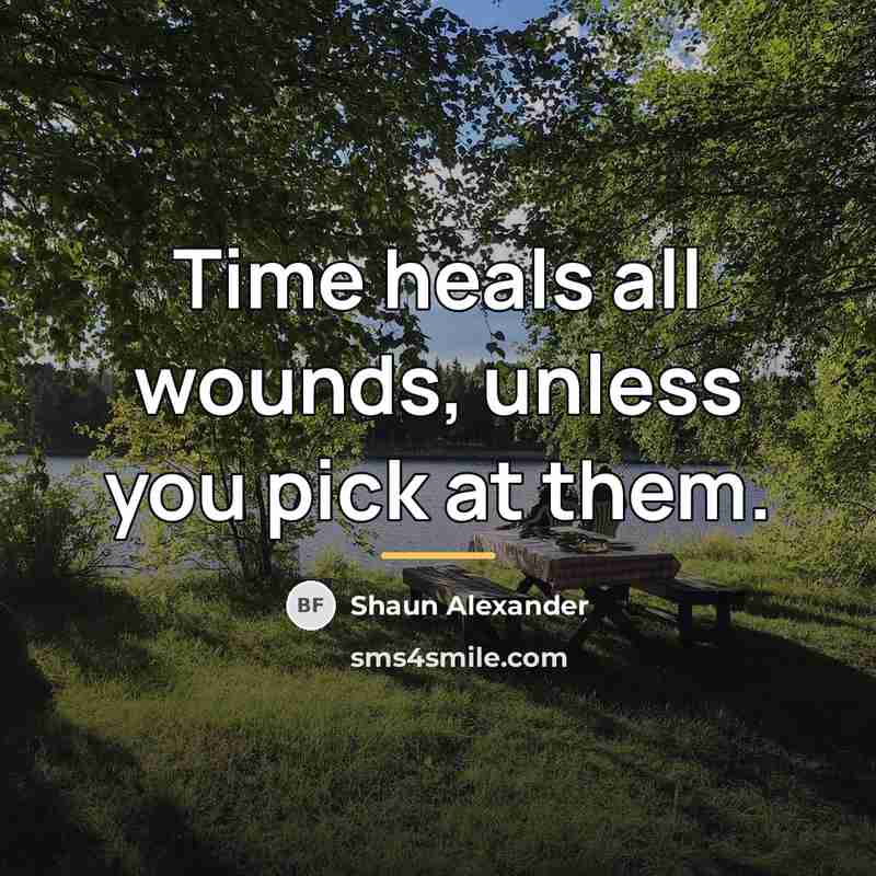 “Time heals all wounds, unless you pick at them.…” quote by Shaun Alexander