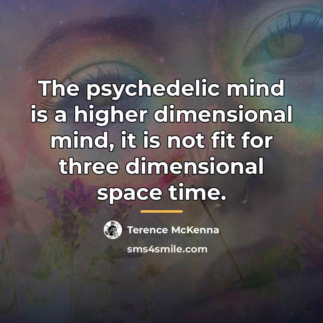 “The psychedelic mind is a higher dimensional mind, it is…” quote by Terence McKenna