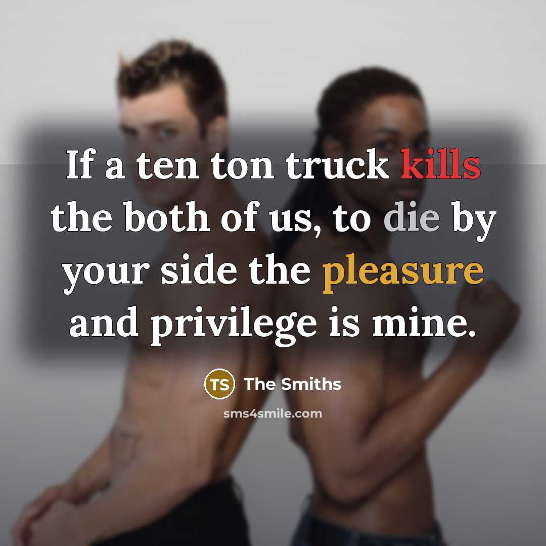 “If a ten ton truck kills the both of us, to die by your side the pleasure and privilege is mine.” quote by The Smiths