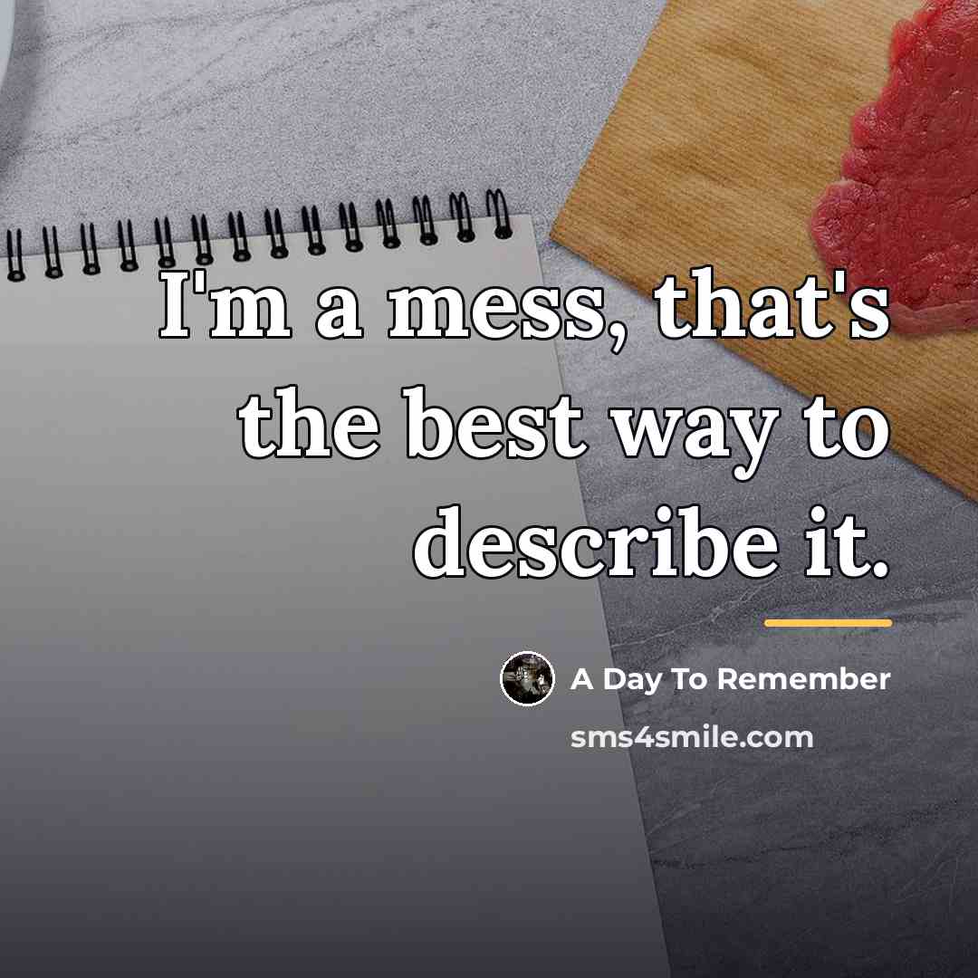 “I'm a mess, that's the best way to describe it.…” quote by A Day To Remember