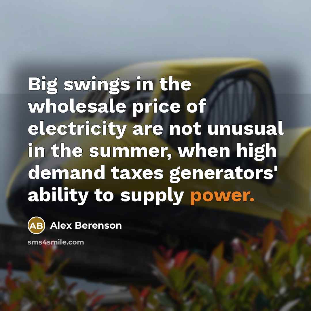 “Big swings in the wholesale price of electricity are not…” quote by Alex Berenson