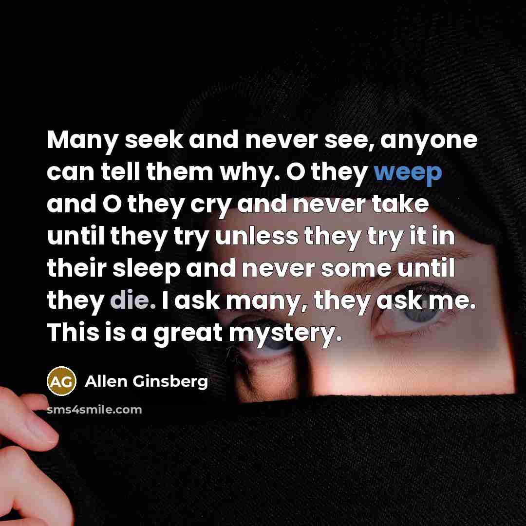 “Many seek and never see, anyone can tell them why.…” quote by Allen Ginsberg