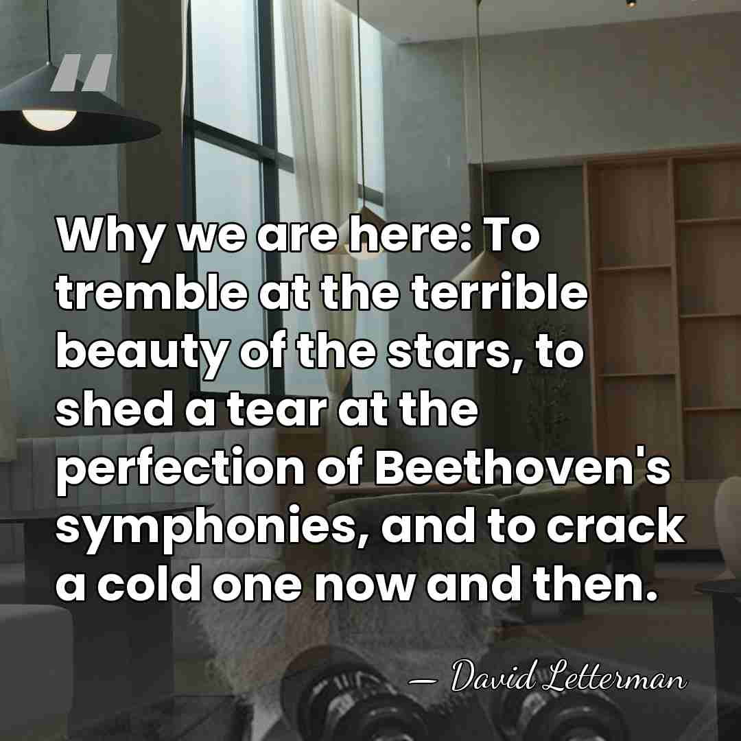 Why we are here: To tremble at the terrible beauty of the&hellip; - David Letterman