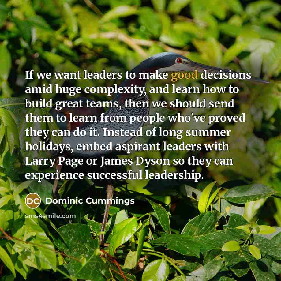 “If we want leaders to make good decisions amid huge…” quote by Dominic Cummings