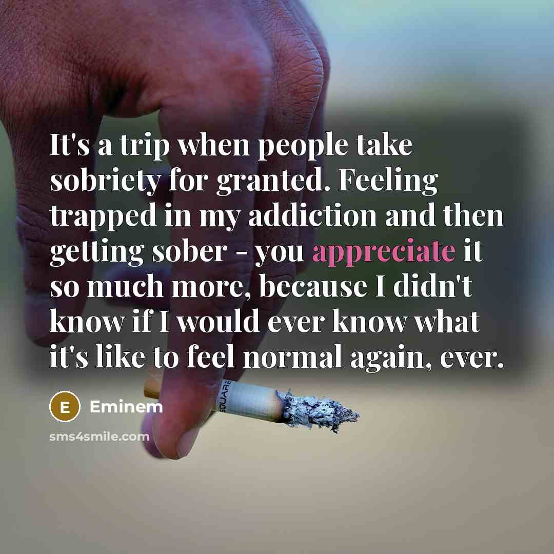 “It's a trip when people take sobriety for granted. Feeling…” quote by Eminem
