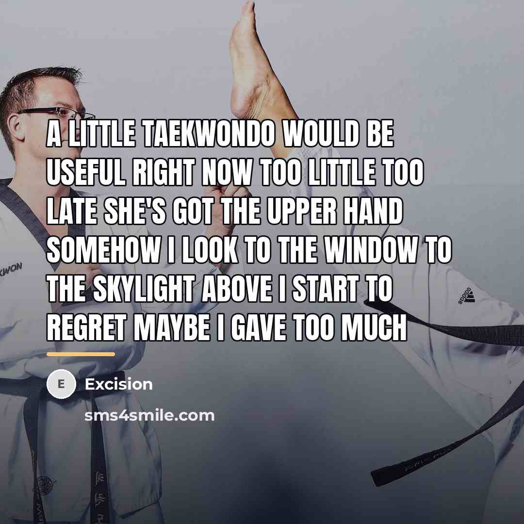 “A little taekwondo Would be useful right now Too little…” quote by Excision