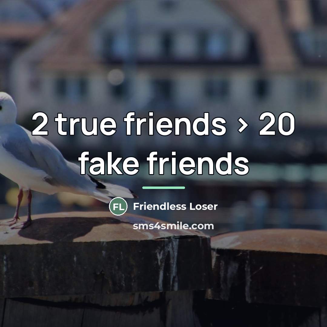 “2 true friends > 20 fake friends…” quote by Friendless Loser