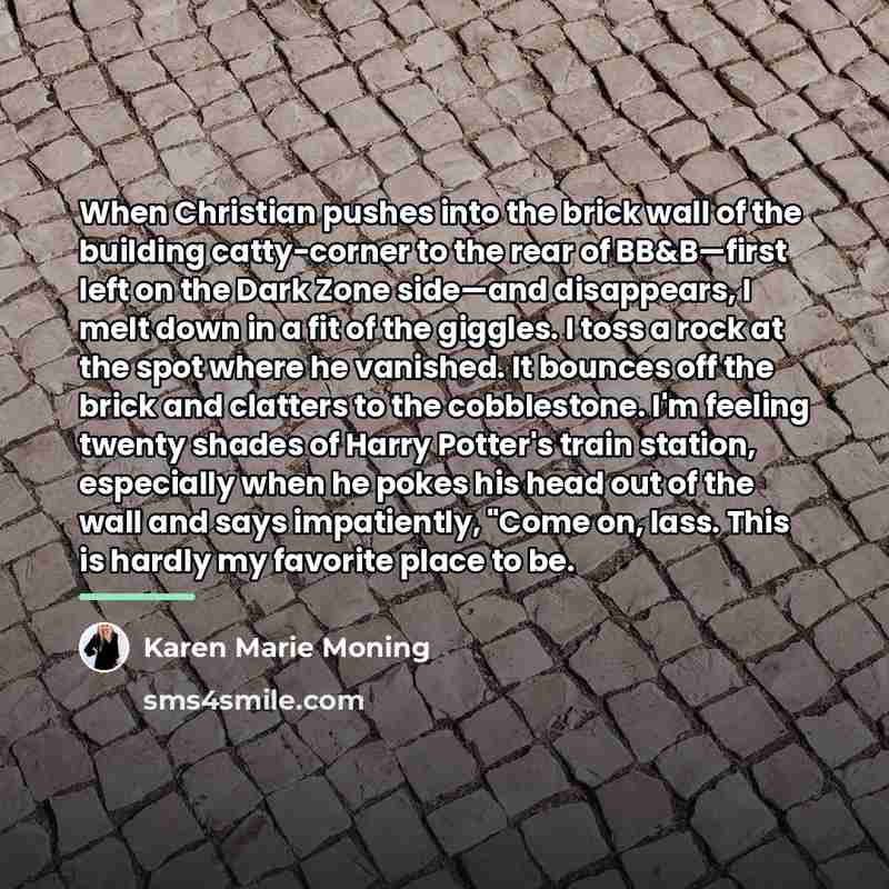 “When Christian pushes into the brick wall of the building…” quote by Karen Marie Moning