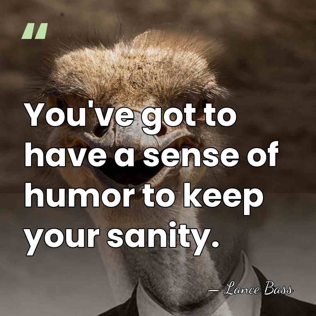 You've got to have a sense of humor to keep your sanity. - Lance Bass