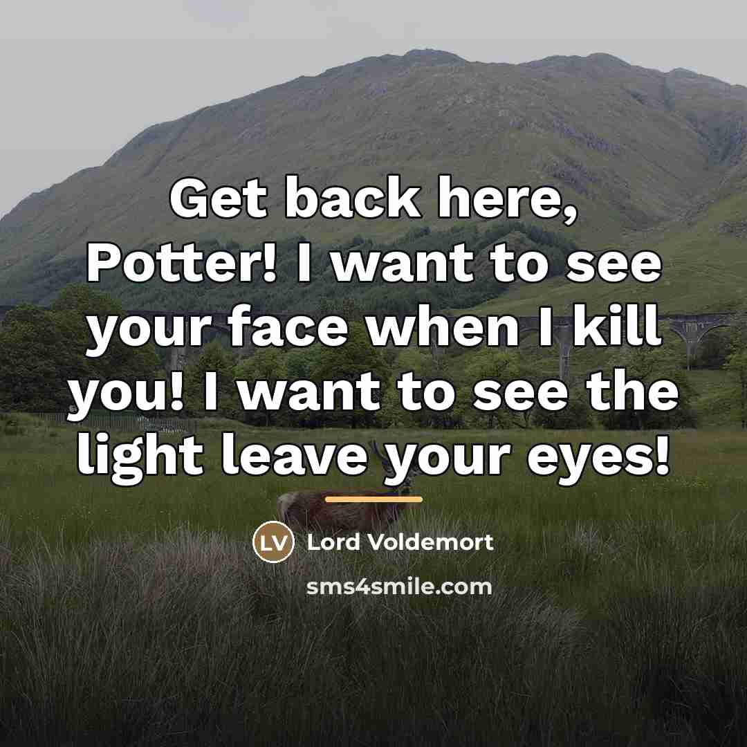 “Get back here, Potter! I want to see your face…” quote by Lord Voldemort