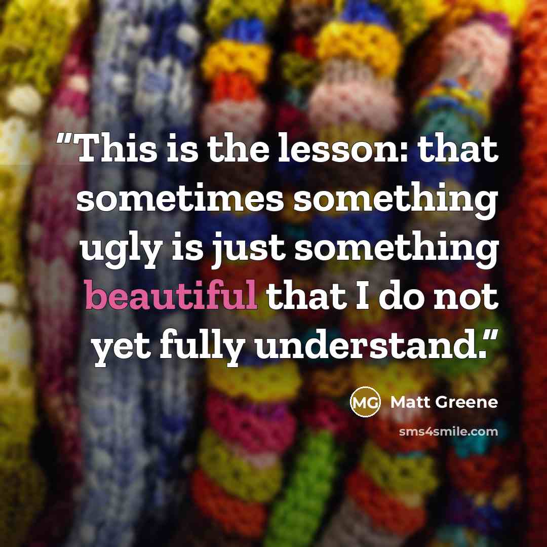 “This is the lesson: that sometimes something ugly is just something beautiful that I do not yet fully understand.” quote by Matt Greene