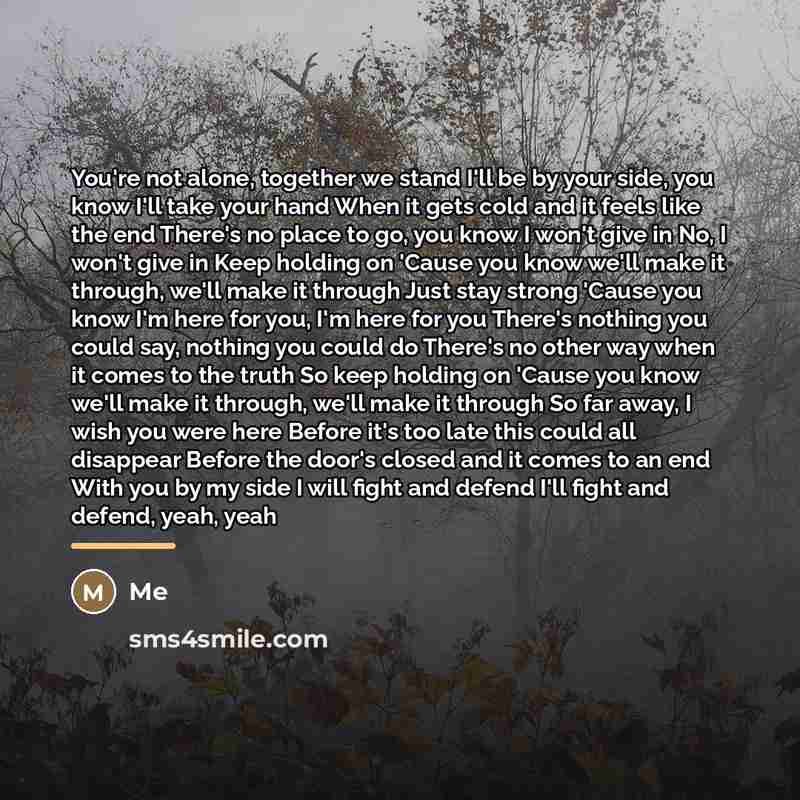 “You're not alone, together we stand I'll be by your…” quote by ME