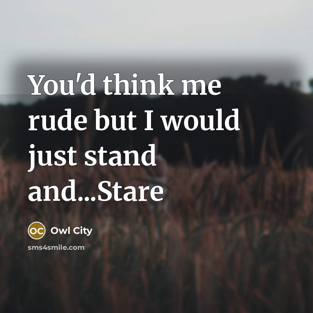 “You'd think me rude but I would just stand and...Stare…” quote by Owl City