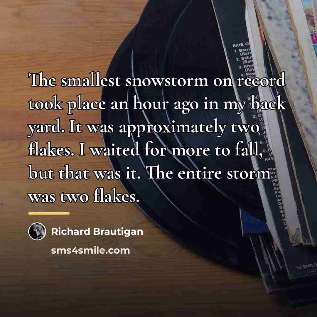 “The smallest snowstorm on record took place an hour ago…” quote by Richard Brautigan