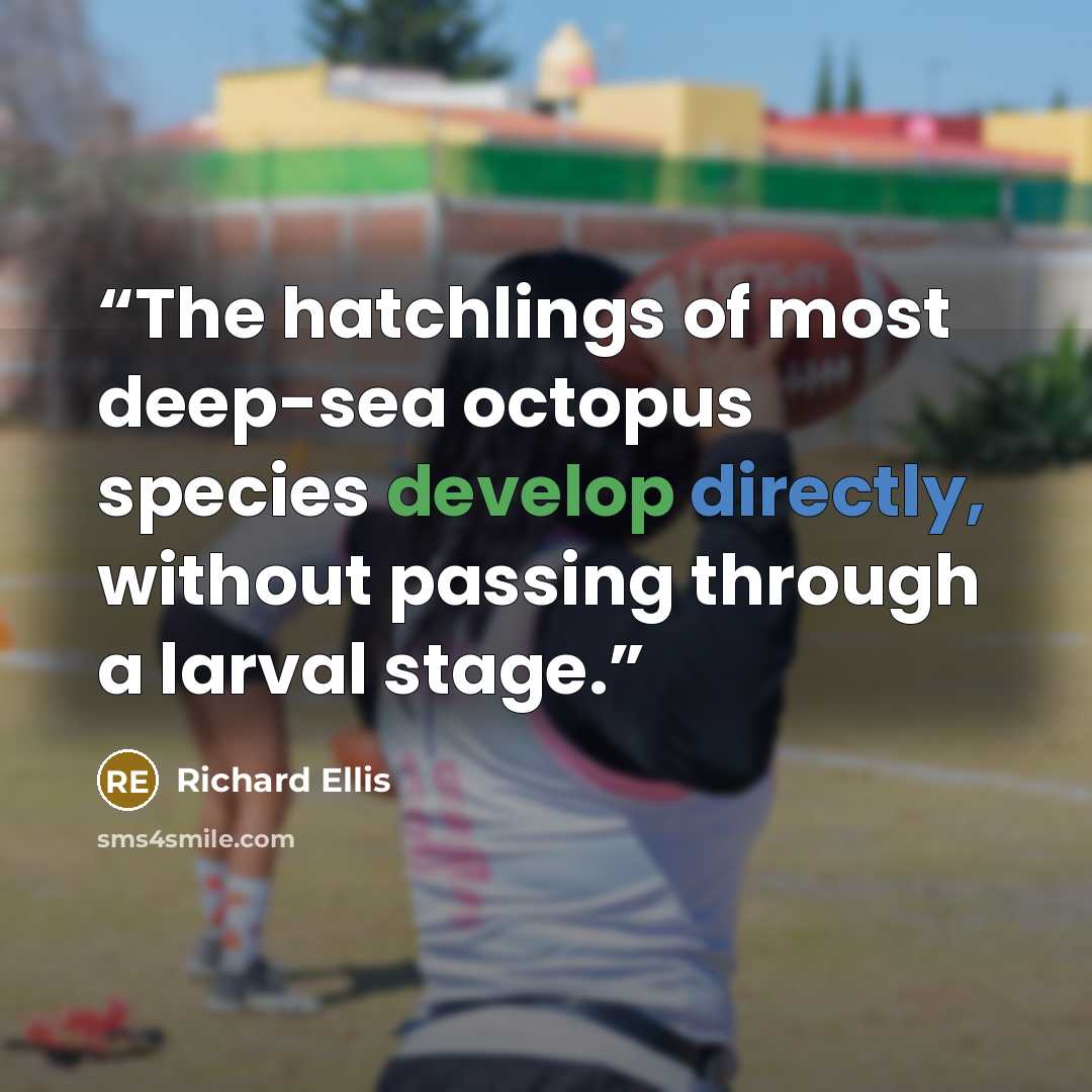 “The hatchlings of most deep-sea octopus species develop directly, without passing through a larval stage.” quote by Richard Ellis