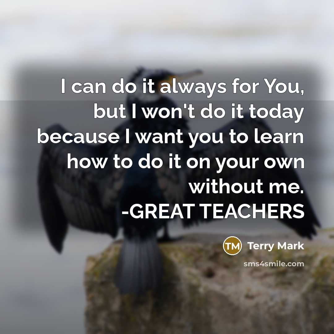 “I can do it always for You, but I won't…” quote by Terry Mark