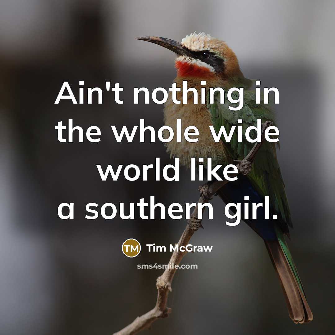 “Ain't nothing in the whole wide world like a southern…” quote by Tim McGraw