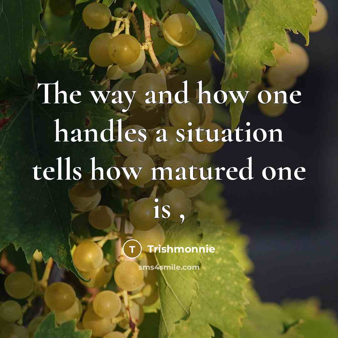 “The way and how one handles a situation tells how…” quote by Trishmonnie