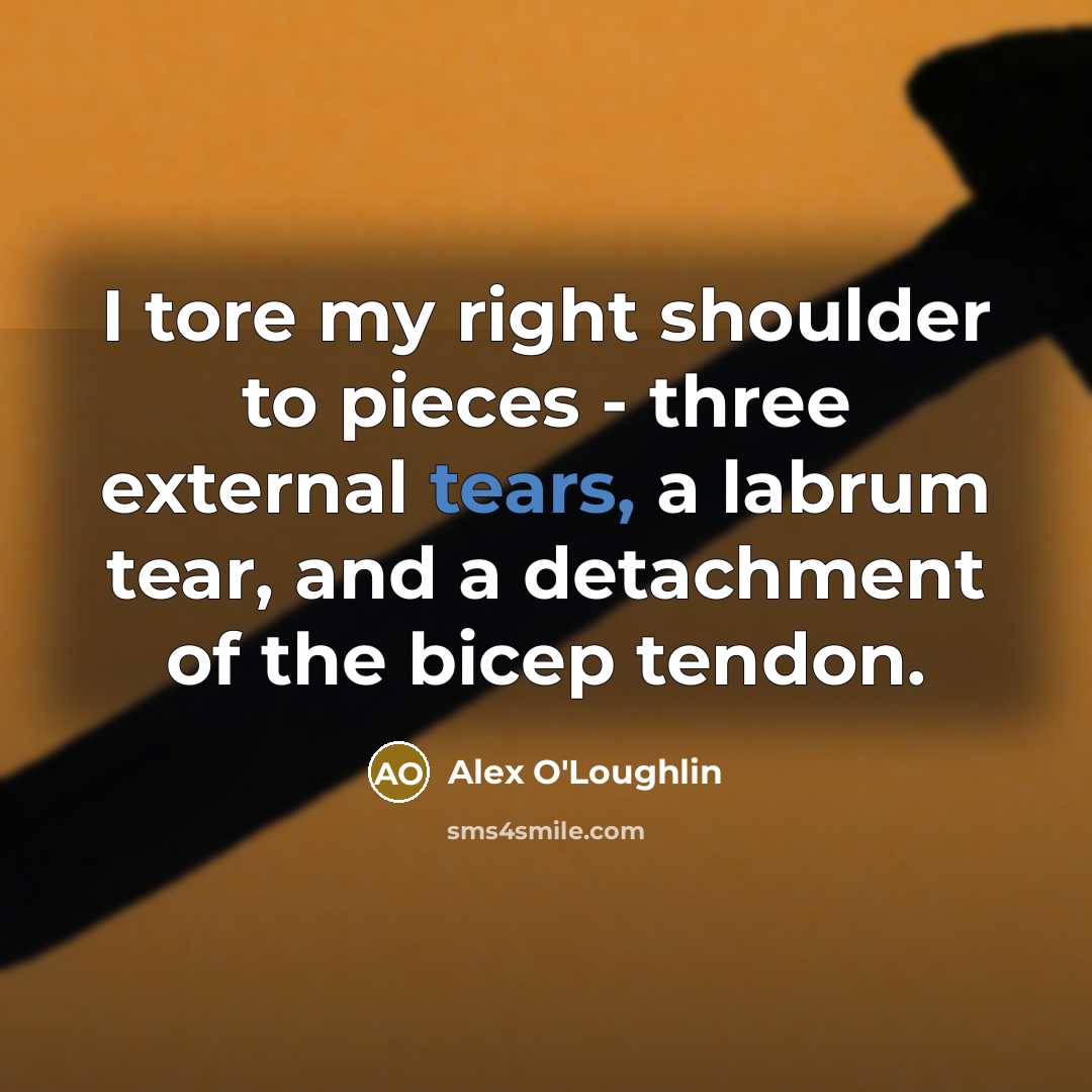 “I tore my right shoulder to pieces - three external…” quote by Alex O'Loughlin