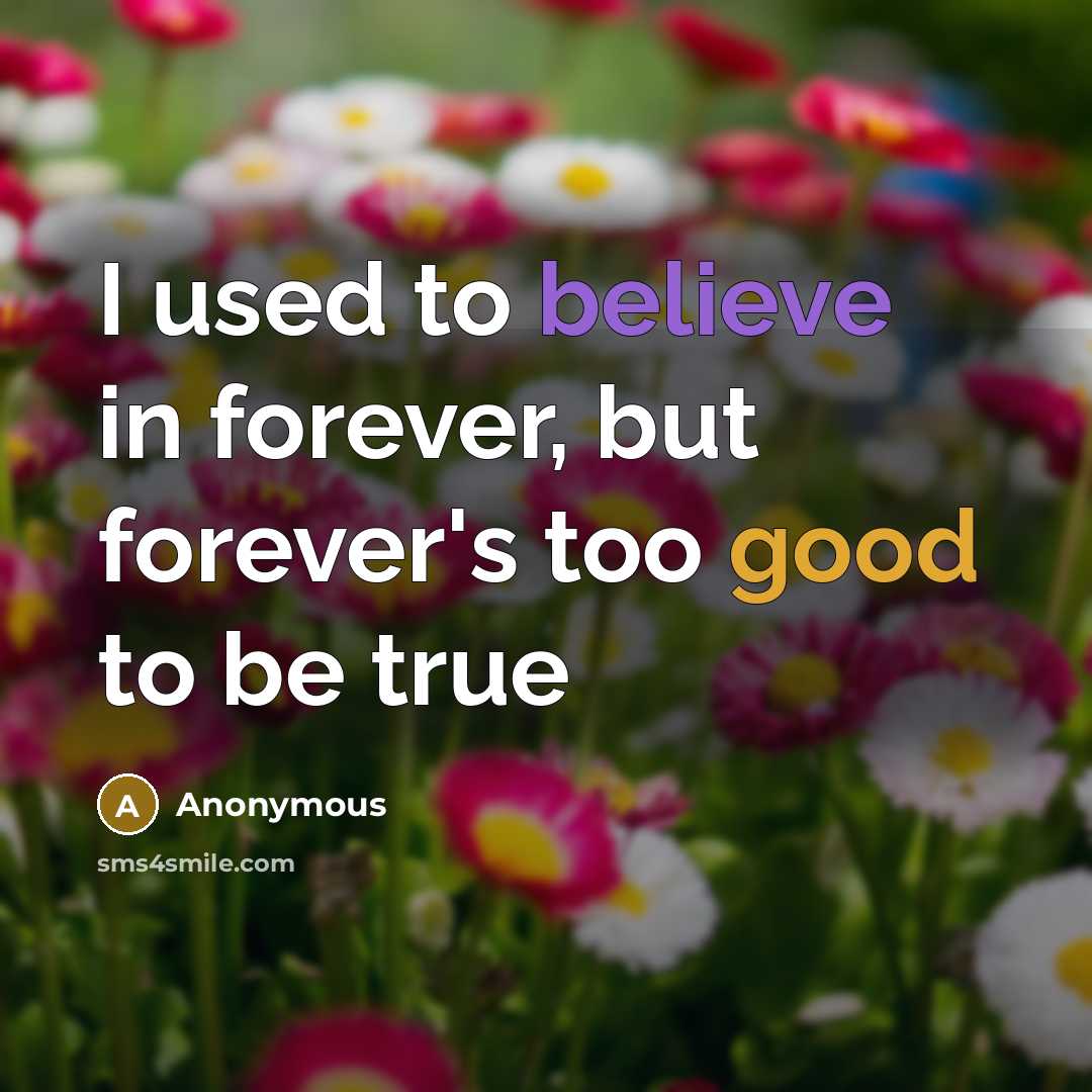 “I used to believe in forever, but forever's too good…” quote by Anonymous