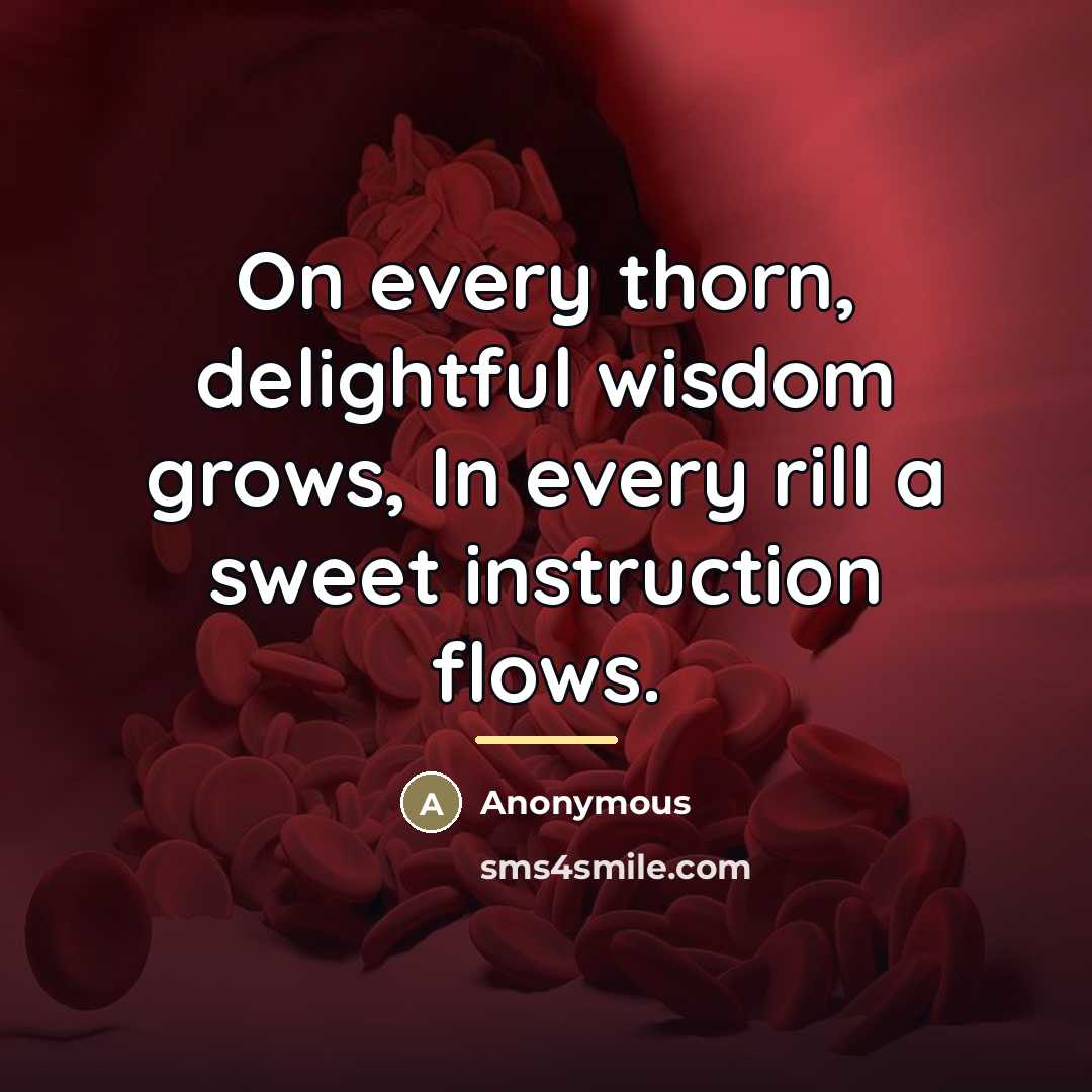 “On every thorn, delightful wisdom grows, In every rill a…” quote by Anonymous