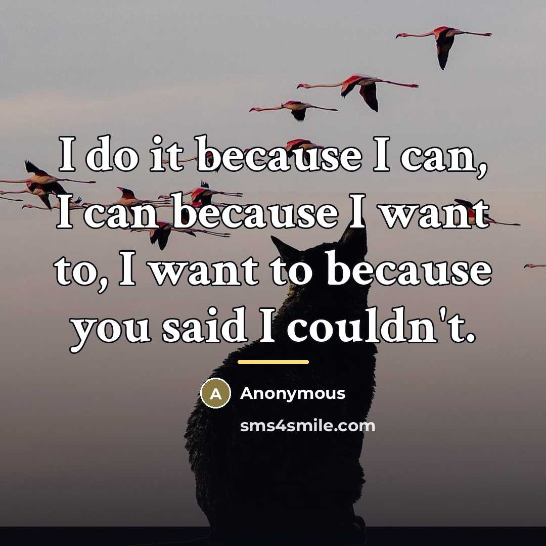 “I do it because I can, I can because I…” quote by Anonymous