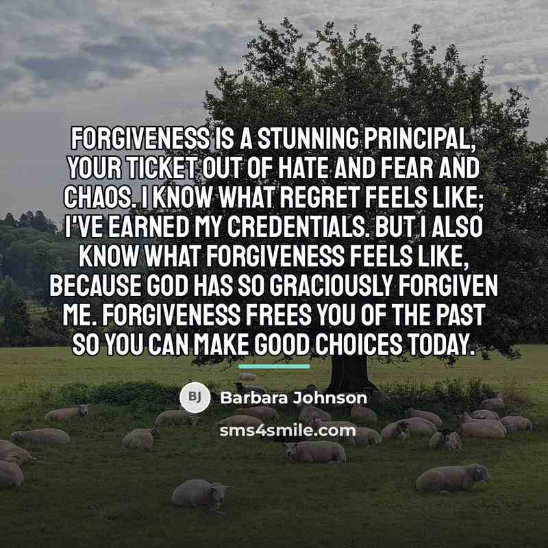 “Forgiveness is a stunning principal, your ticket out of hate…” quote by Barbara Johnson