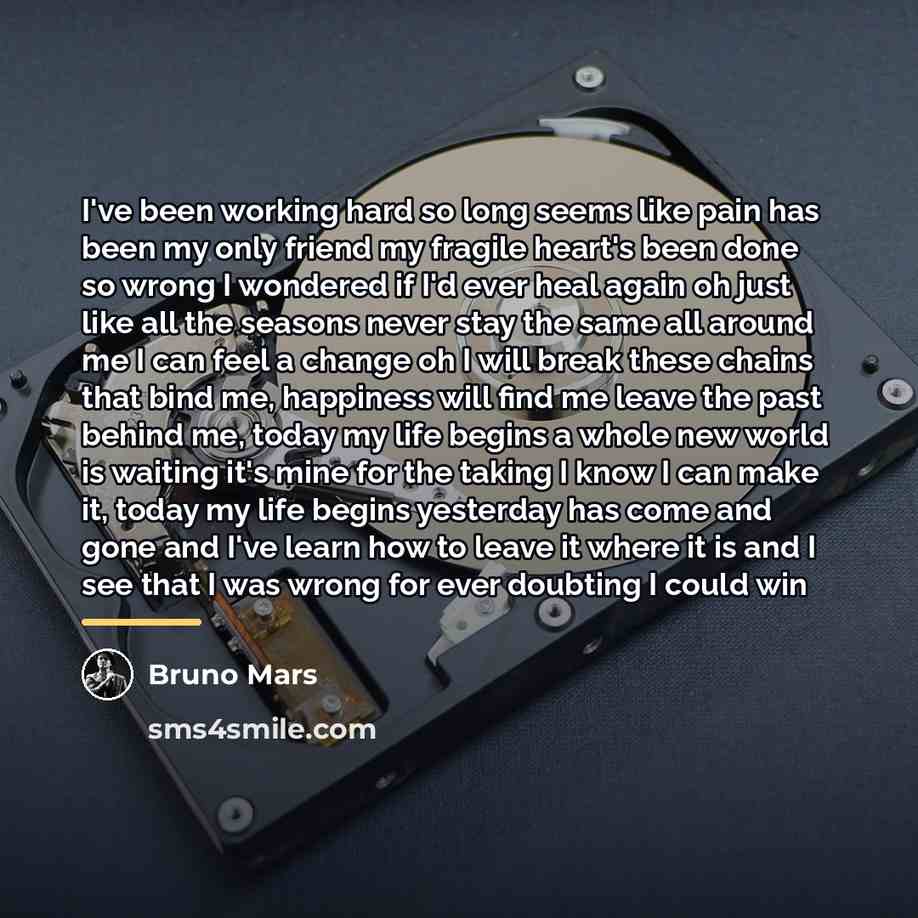 “I've been working hard so long seems like pain has…” quote by Bruno Mars