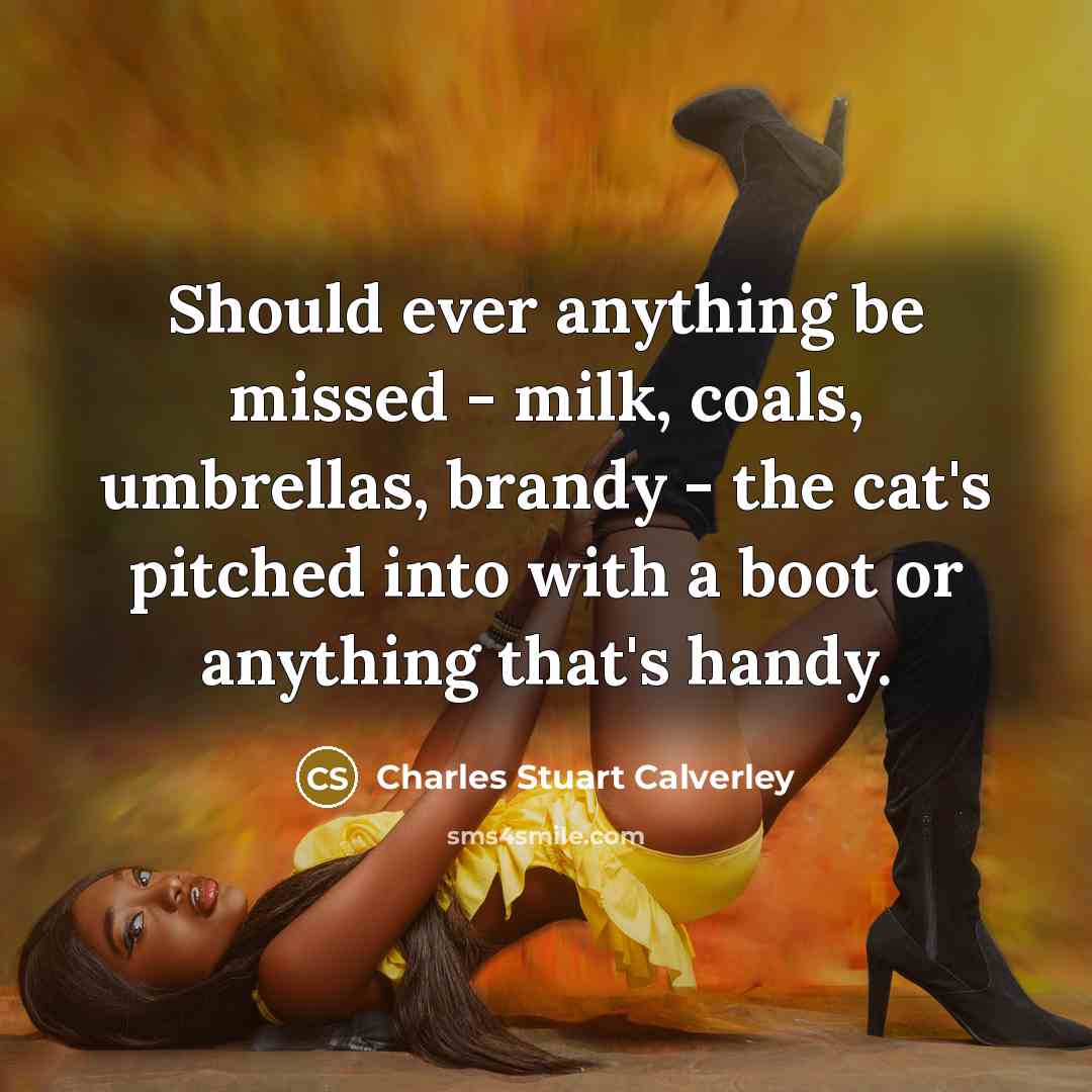 “Should ever anything be missed - milk, coals, umbrellas, brandy…” quote by Charles Stuart Calverley
