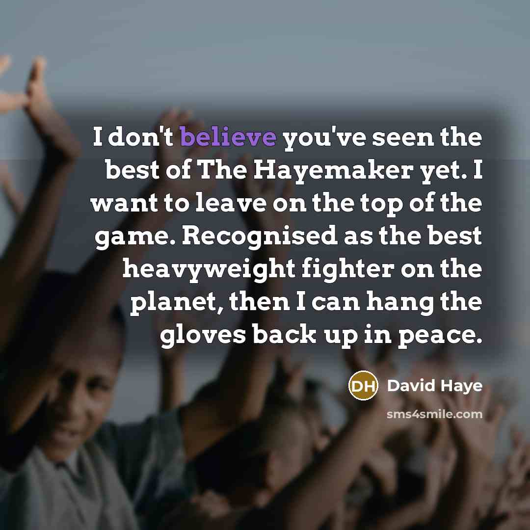 “I don't believe you've seen the best of The Hayemaker…” quote by David Haye