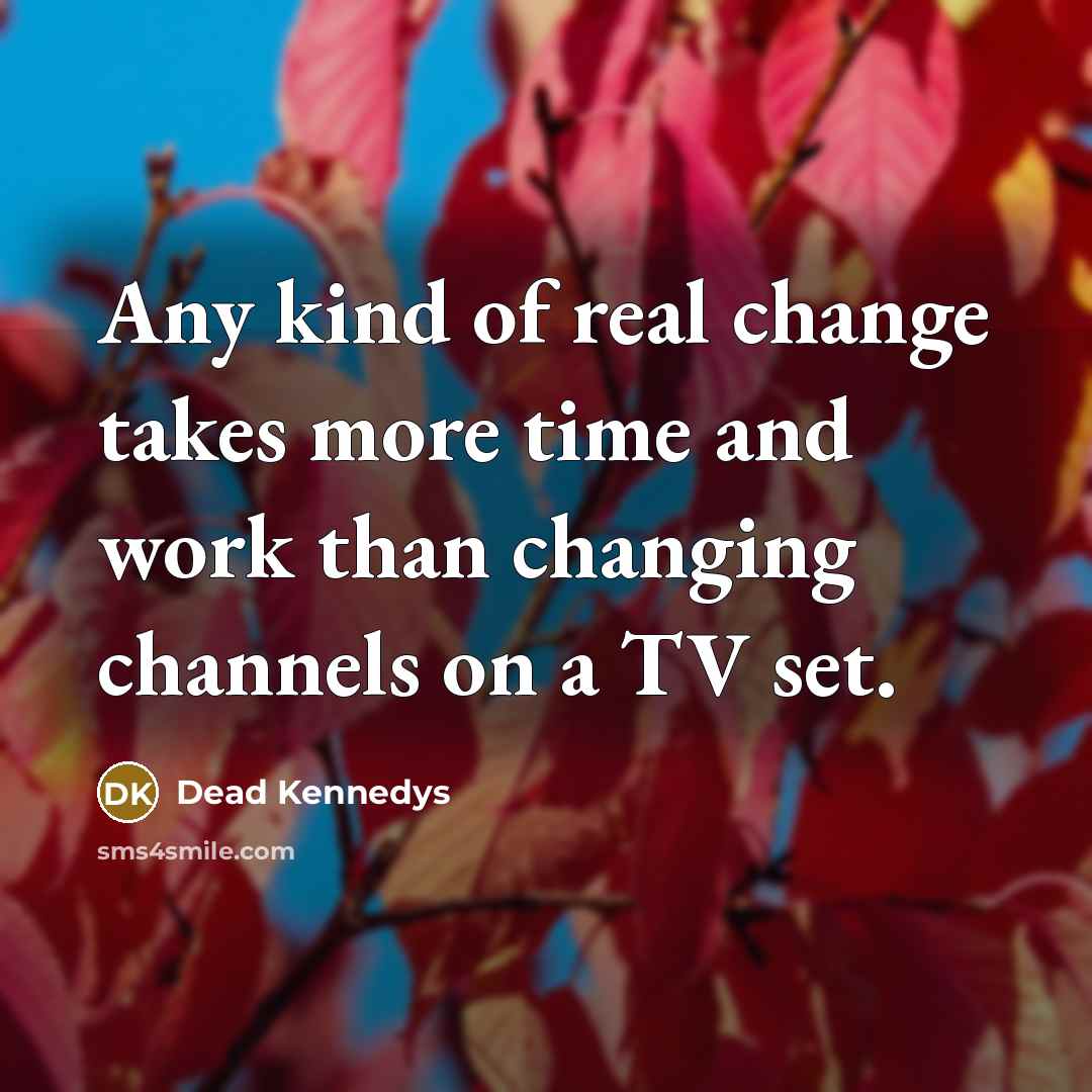 “Any kind of real change takes more time and work…” quote by Dead Kennedys