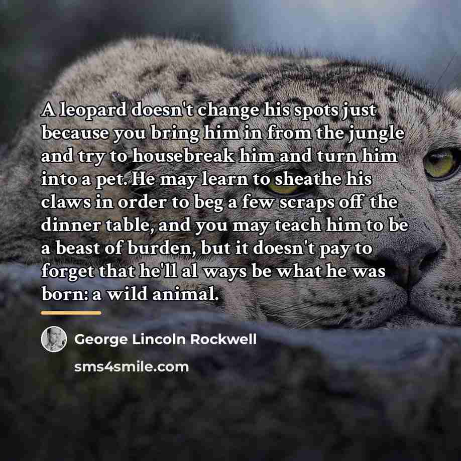 “A leopard doesn't change his spots just because you bring…” quote by George Lincoln Rockwell