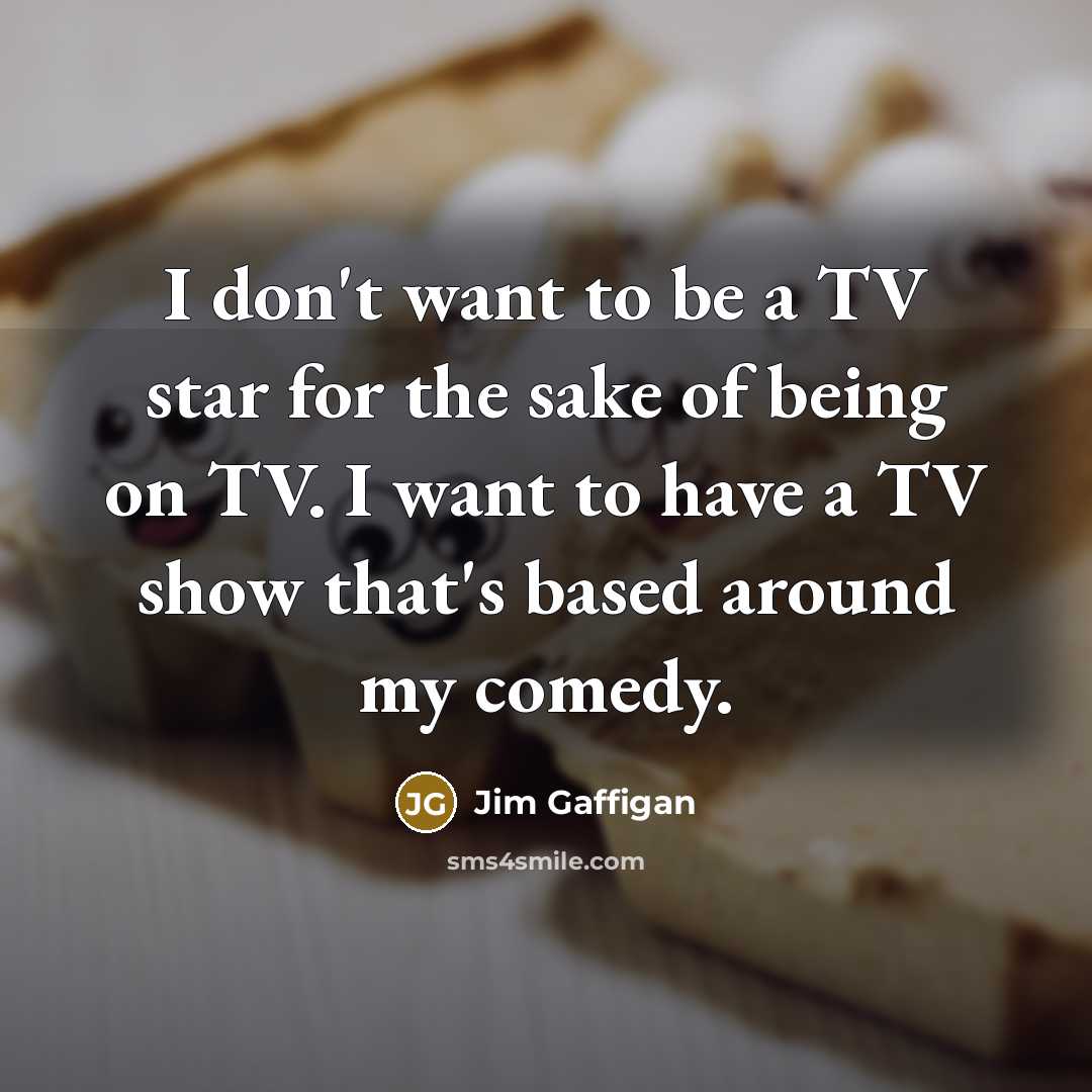 “I don't want to be a TV star for the…” quote by Jim Gaffigan