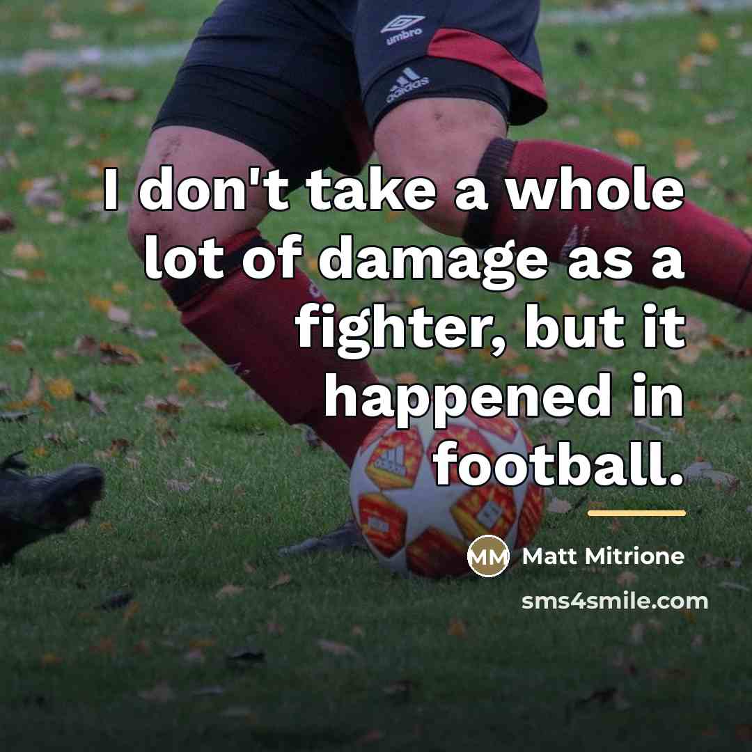 “I don't take a whole lot of damage as a…” quote by Matt Mitrione