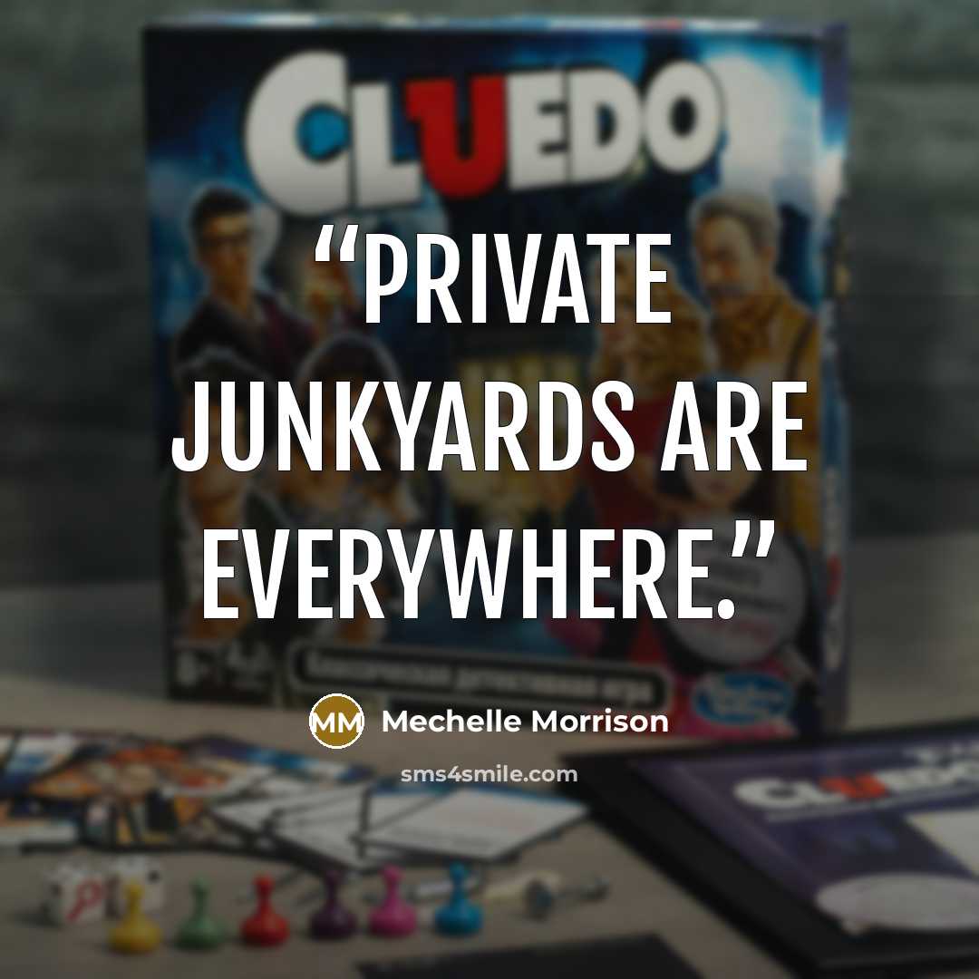 “Private junkyards are everywhere.” quote by Mechelle Morrison
