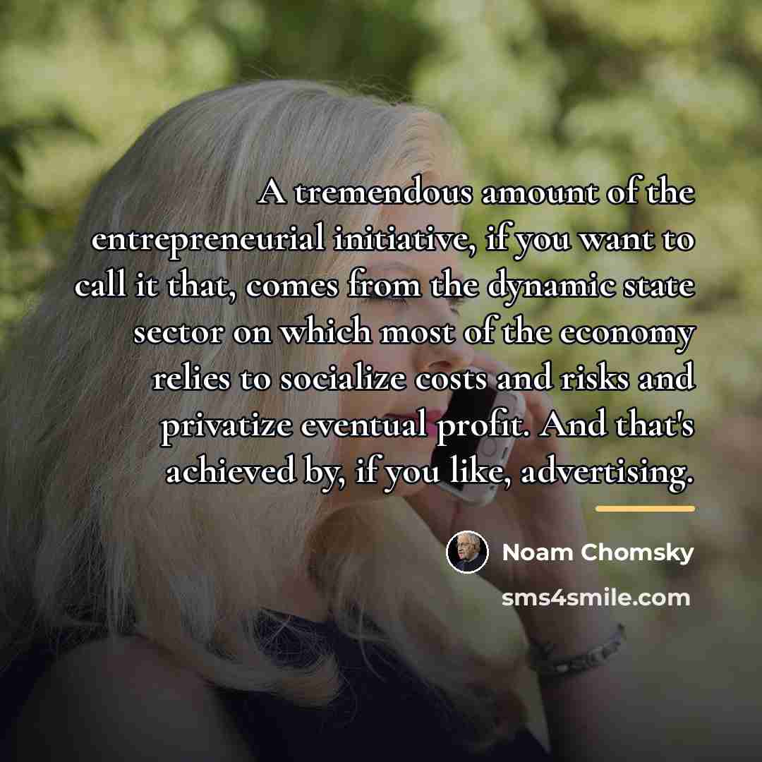 “A tremendous amount of the entrepreneurial initiative, if you want…” quote by Noam Chomsky