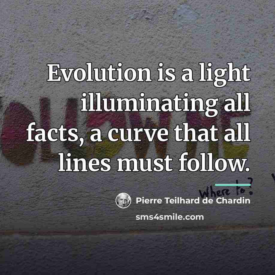 “Evolution is a light illuminating all facts, a curve that…” quote by Pierre Teilhard de Chardin