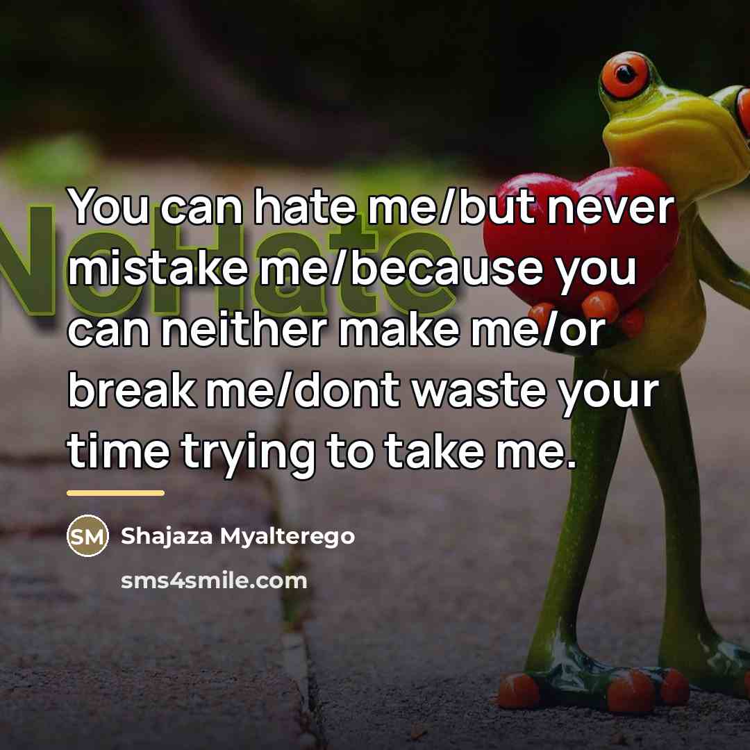 “You can hate me/but never mistake me/because you can neither…” quote by Shajaza Myalterego