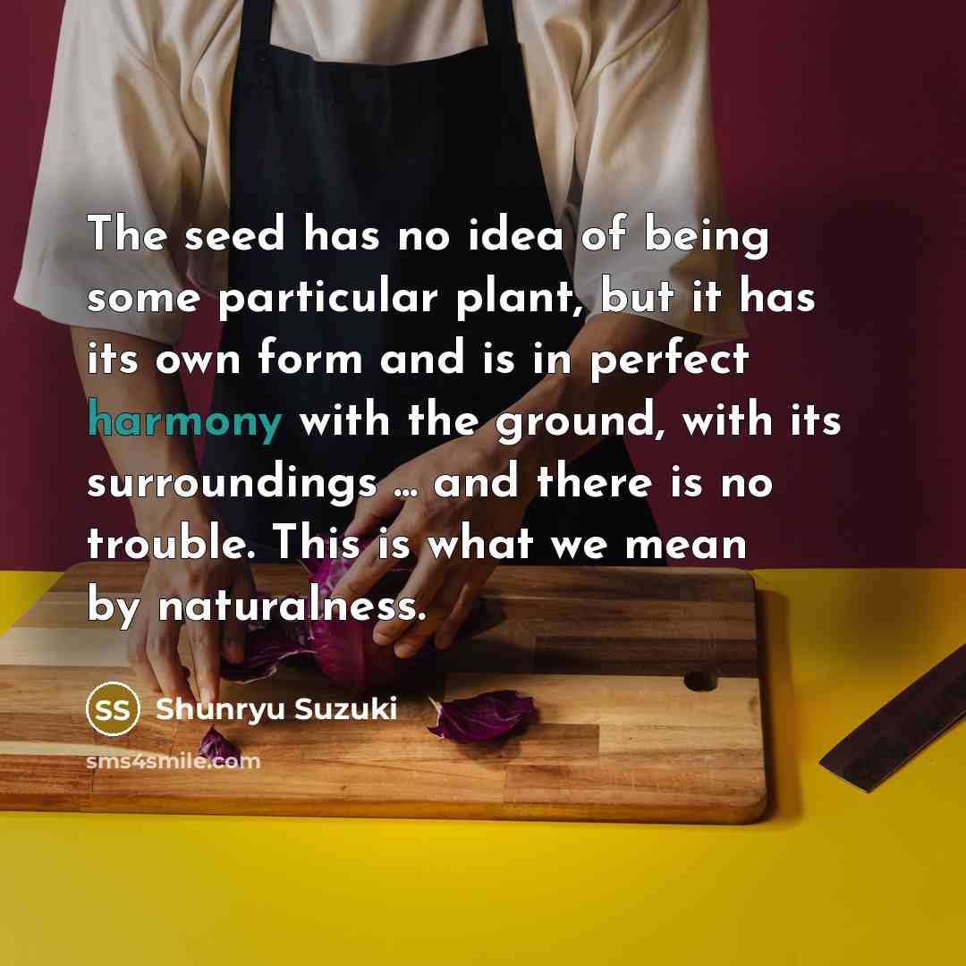 “The seed has no idea of being some particular plant,…” quote by Shunryu Suzuki