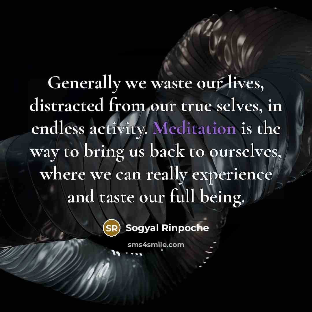 “Generally we waste our lives, distracted from our true selves,…” quote by Sogyal Rinpoche