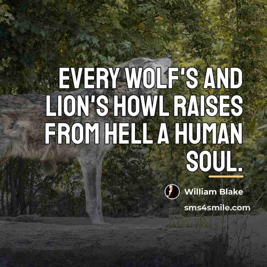 “Every wolf's and lion's howl Raises from Hell a human…” quote by William Blake