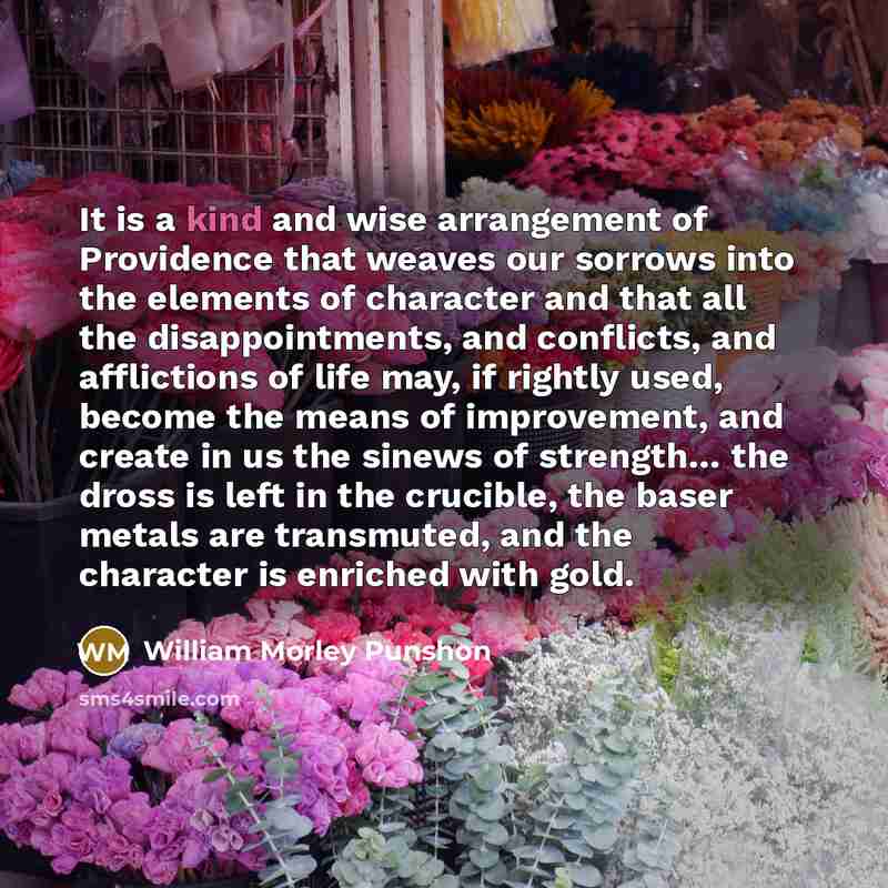 “It is a kind and wise arrangement of Providence that…” quote by William Morley Punshon