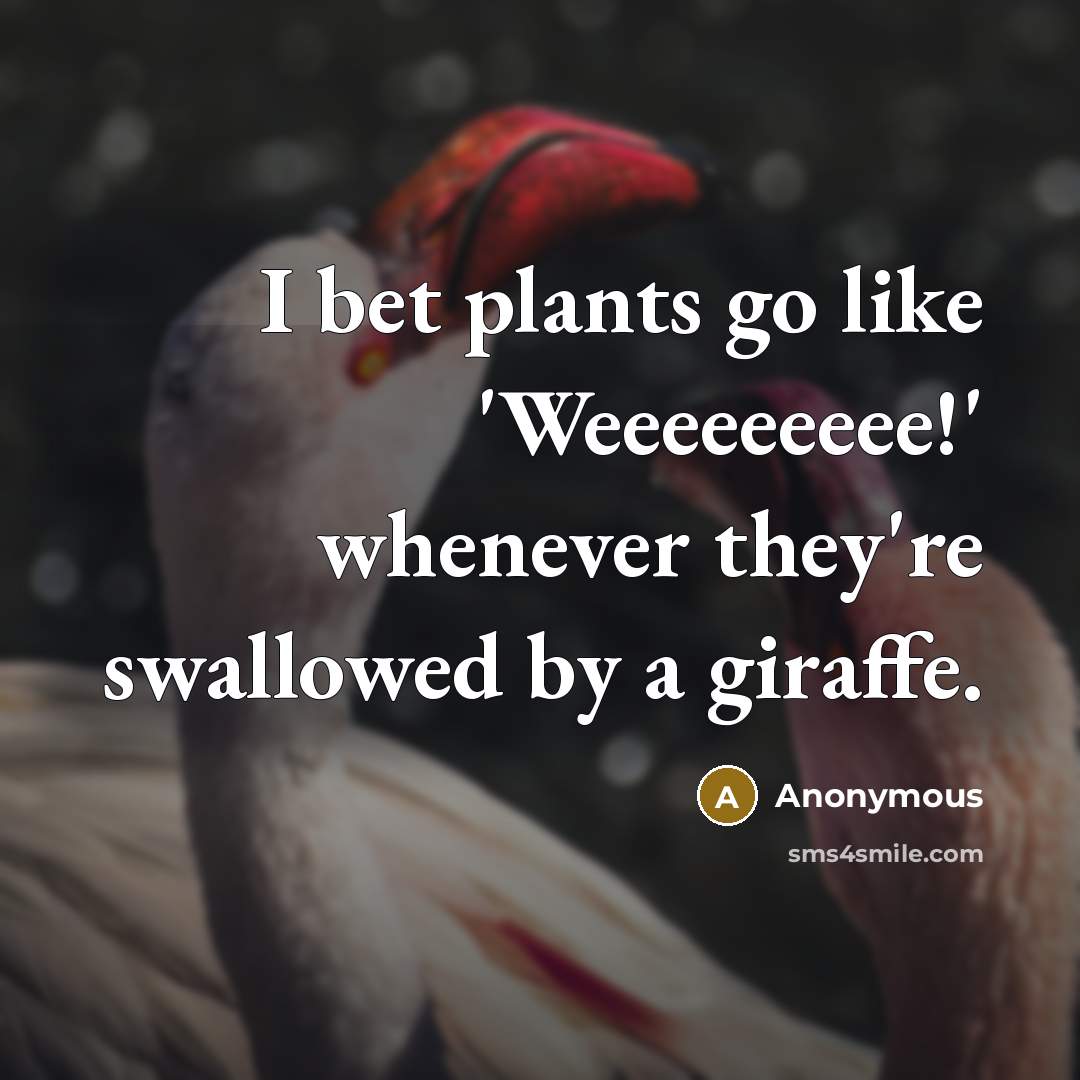 “I bet plants go like 'Weeeeeeeee!' whenever they're swallowed by a giraffe.” quote by Anonymous